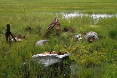В Коми пытаются разгадать тайну упавшего возле Мандача самолета