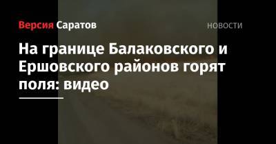 На границе Балаковского и Ершовского районов горят поля: видео
