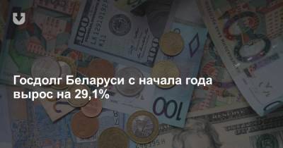 Госдолг Беларуси с начала года вырос на 29,1%