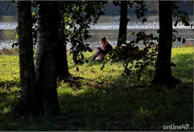 Сдай макулатуру – спаси дерево: жителям Ленинградской области предложили стать эко-героями