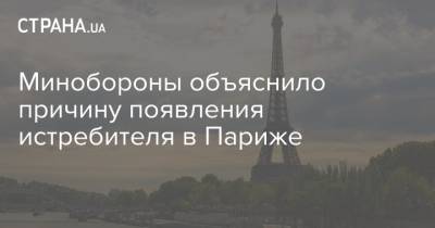 Минобороны объяснило причину появления истребителя в Париже