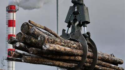 Рекорды в прошлом: лесопромышленники потеряли прибыль