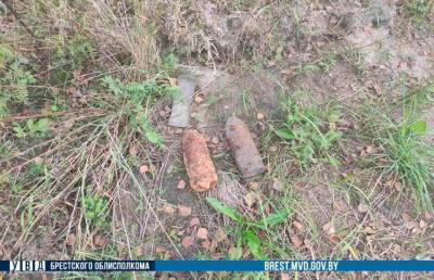 Житель Барановичского района нашел в саду два снаряда времен Великой Отечественной войны