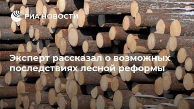 Эксперт рассказал о возможных последствиях лесной реформы