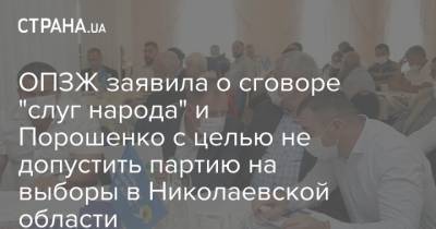 ОПЗЖ заявила о сговоре "слуг народа" и Порошенко с целью не допустить партию на выборы в Николаевской области