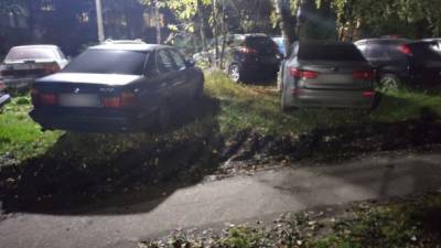 Жительница столицы Коми объявила войну любителям парковаться на траве