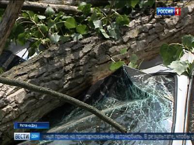 Сильный порывистый ветер в Ростове: повалены столбы и деревья