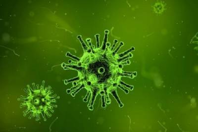 Ачкасов о распространении коронавируса: «У нас будет очень тяжелая осень»