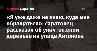«Я уже даже не знаю, куда мне обращаться»: саратовец рассказал об уничтожении деревьев на улице Антонова