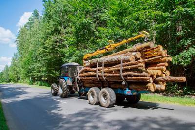 Раскрыта схема вывоза леса из России
