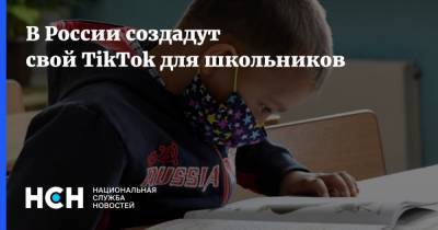 В России создадут свой TikTok для школьников