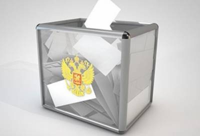 Центризбирком России признал неудовлетворительной работу Петербургской избирательной комиссии