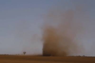 В Одесской области заметили "пылевого дьявола" (видео)