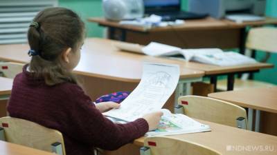 Профсоюз «Учитель» назвал незаконным указ Собянина о внеплановых каникулах в школах