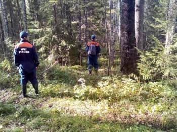 На болотах Сокольского района пропали трое человек