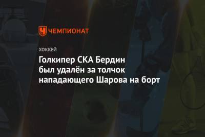Голкипер СКА Бердин был удалён за толчок нападающего Шарова на борт