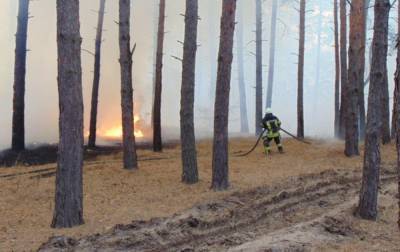 В Луганской области продолжается тушение лесных пожаров