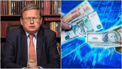 Экономист Делягин оценил вероятность подорожания доллара до 90-100 рублей
