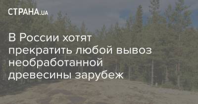 В России хотят прекратить незаконный вывоз необработанной древесины