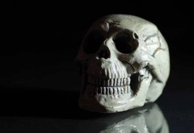 В доме известного хирурга нашли несколько тысяч человеческих костей - live24.ru - Англия