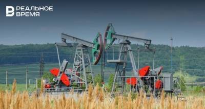 Итоги дня: налоговый вычет нефтяникам, назначения министров Татарстана и запрет на вывоз леса