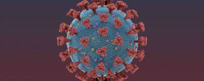 Еще 99 человек на Кубани заболели коронавирусом