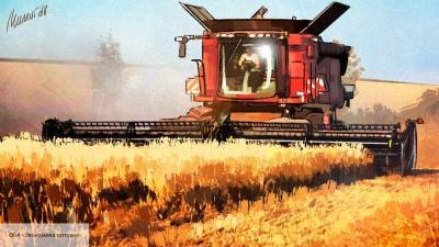 В ЕС признали победу России в битве за рынок пшеницы Алжира