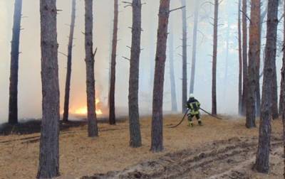 На Луганщине масштабные пожары, эвакуируют села
