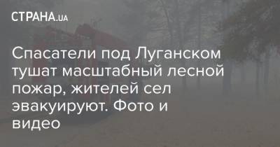 Спасатели под Луганском тушат масштабный лесной пожар, жителей сел эвакуируют. Фото и видео