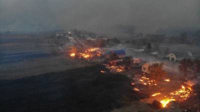 В селе Воронежской области лесной пожар добрался до жилых домов