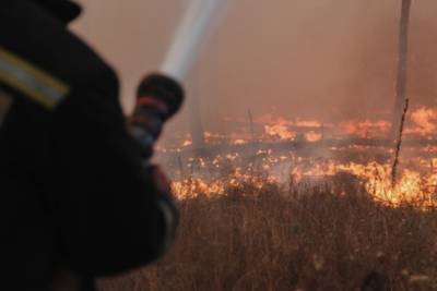 Воронежский лесной пожар перекинулся на жилые дома
