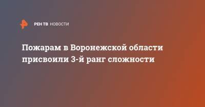 Пожарам в Воронежской области присвоили 3-й ранг сложности