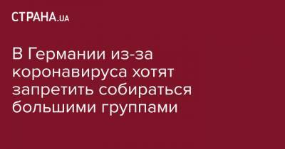 В Германии из-за коронавируса хотят запретить собираться большими группами