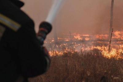 Разгулявшийся по Воронежской области пожар приближается к санаторию и населённым пунктам