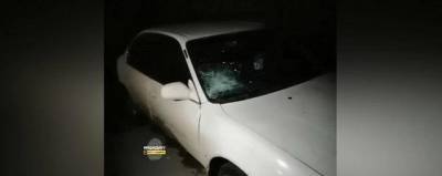 В Новосибирске сотрудники ГИБДД избили водителя дубинками