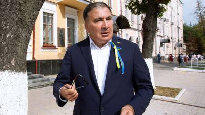 Саакашвили будет лишен звания почетного доктора Ереванского университета