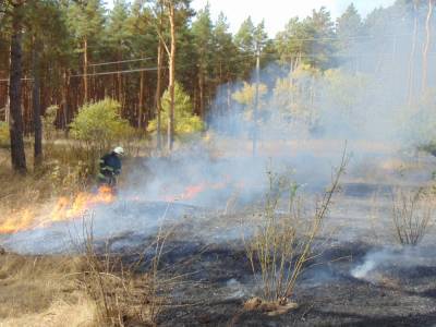 В Луганской области снова бушуют пожары, жителей эвакуируют