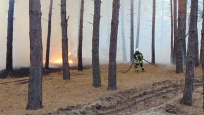 Пожары на Луганщине: в ОГА создали штаб помощи пострадавшим