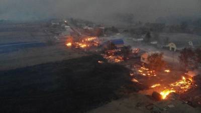 Более 20 домов сгорели под Воронежем из-за лесных пожаров — видео