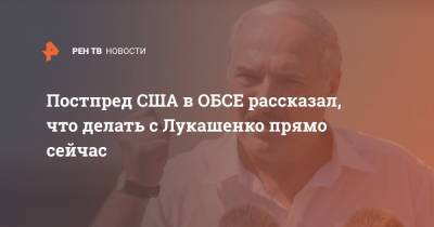 Постпред США в ОБСЕ рассказал, что делать с Лукашенко прямо сейчас