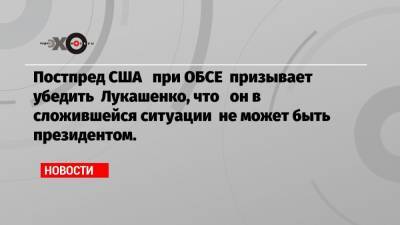 Постпред США при ОБСЕ призывает убедить Лукашенко, что он в сложившейся ситуации не может быть президентом.