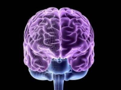 Психолог назвал ТОП-5 способов развить мозг