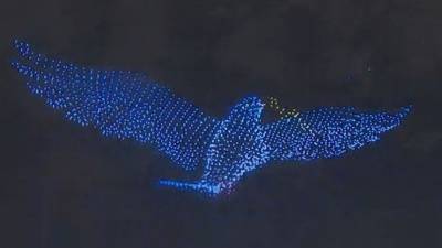 Балет светлячков: 2,5 тысячи дронов взмыли в ночное небо Петербурга