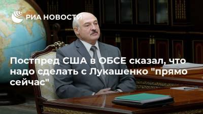 Постпред США в ОБСЕ сказал, что надо сделать с Лукашенко "прямо сейчас"