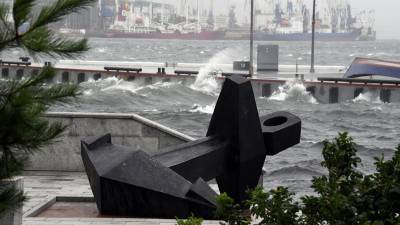 Два члена экипажа плавучего крана погибли из-за тайфуна в Приморье