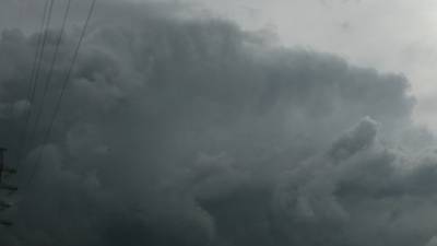 В Приморье 55 человек пострадали от ураганного ветра