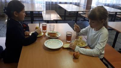 «Единая Россия» проверяет обеспечение горячим питанием младших школьников в регионах
