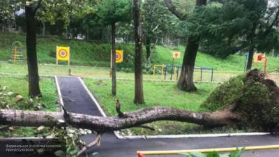 Тайфун "Майсак" травмировал более 50 жителей Приморья
