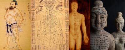 Найденный в Китае манускрипт оказался древнейшим в мире анатомическим атласом