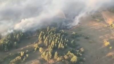 На юге страны продолжают разгораться природные пожары